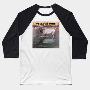 Yellowstone Elk Baseball T-Shirt